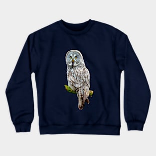 Great Grey Owl Crewneck Sweatshirt